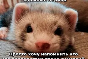 Скрины из соцсетей