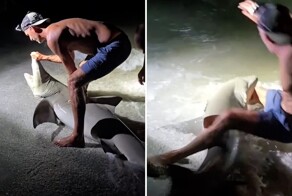 Акула укусила рыбака за ногу во время фотосессии на пляже