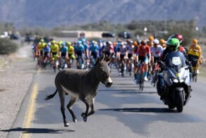 Намешалось