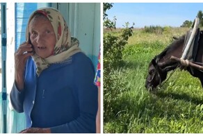 Экспресс-доставка по-деревенски: лошадь вместо курьера