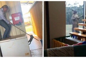 Типичный день в Австралии