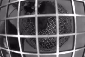 «Роскосмос» показал мышей в невесомости