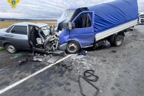 ДТП в Рязанской области "Раз, и нет двух человек"