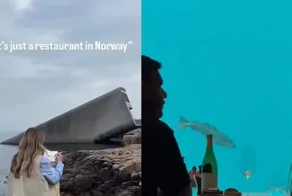 Ужин на глубине: на видео попал самый большой подводный ресторан в Норвегии