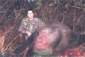 Самый громадный медведь Гризли (2 фото)