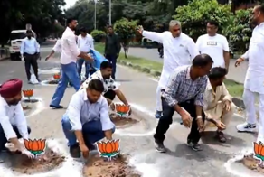 В Индии в дорожные выбоины посадили лотосы