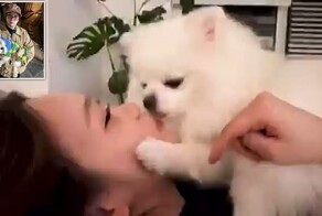 В соцсетях осудили кореянку, которая дала собаке облизать лицо