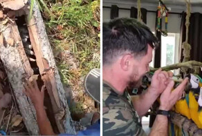 Парень спас брошенных птенцов попугаев