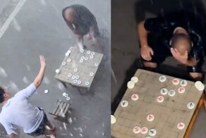 Шахматы под дождём