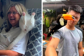 17 фотографий дерзких животных, которые решили показать всем окружающим, кто здесь самый главный