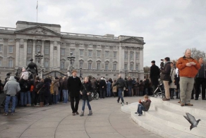 Живые фотографии от Николаса Риттера (10 фото)