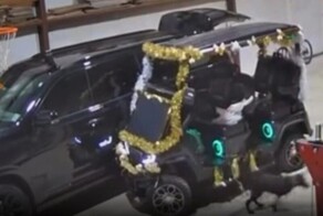 Пёс "угнал" гольфкар и врезался в автомобиль