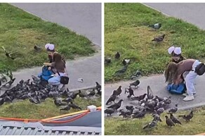 Девочки унесли двух голубей в рюкзаке