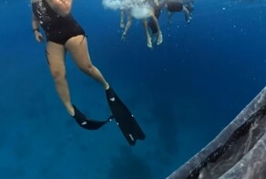 Туристка испугалась близкого знакомства с китовой акулой