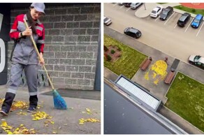 Художница создала портрет Михаила Шуфутинского из осенних листьев