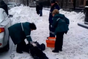 Хозяин автомобиля подстрелил угонщика (видео)