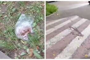В Москве завёлся фекалометатель