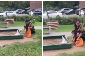 В Подмосковье приезжая высыпала пакет с отходами своего кота прямо в детскую песочницу