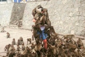 Не ищите здесь смысл. Здесь в основном маразм