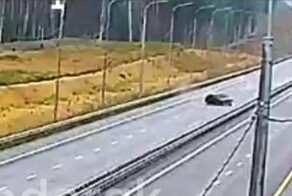 Уснул на трассе ДТП