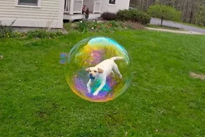 20 кадров повседневной магии, которые хочется рассматривать снова и снова