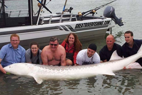 Белый осётр: они отъедаются целый век, чтобы весить под тонну!