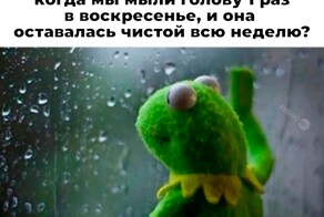 Смешные картинки