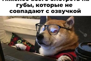 Продолжаем барражировать соцсети