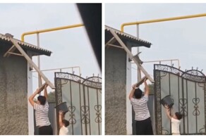 Спасение котёнка с крыши