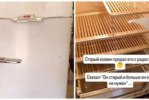 Холодильник "ЗиЛ" после реставрации