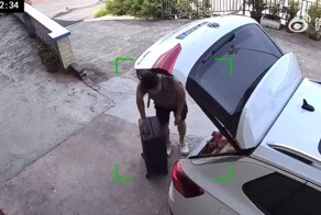 Чемодан сбежал от владельца