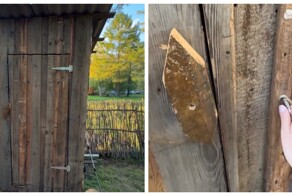 Девушка обнаружила в деревне туалет уровня премиум