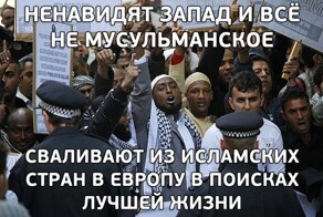 Почему мигранты-мусульмане едут в христианские страны со своим уставом