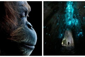 25 победителей фотоконкурса reFocus Awards 2025