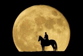 Всё вразнобой 