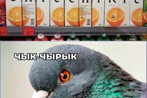 Скрины из соцсетей            