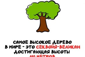 А вдруг ты не знал…