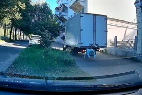 В миллиметре от трагедии