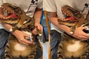 «Котозавру» стригут когти