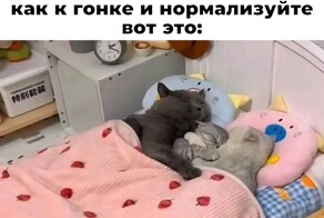 Скрины из соцсетей            