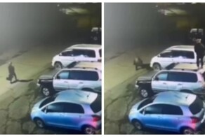 Мужчина залез на крышу машины, чтобы спастись от медведя