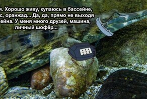 В Москвариуме поселились крайне редкие гавиаловые крокодилы