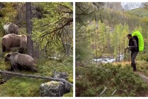 Туристы встретили медведей в лесу