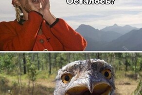 Скрины из соцсетей            