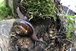 Мощь природы в 22 снимках, которые доказывают её превосходство