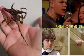 Осенняя подборка для любителей кино и мемов