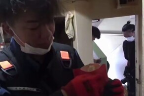 Уборщики нашли в заваленной мусором квартире старую картошку фри, которая выглядела свежей