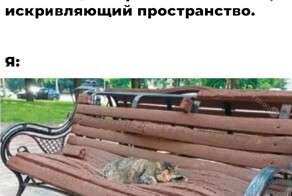 Скрины из соцсетей            