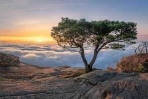 Всё вразнобой&nbsp;