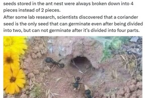 Ученые обратили внимание на одну интересную особенность